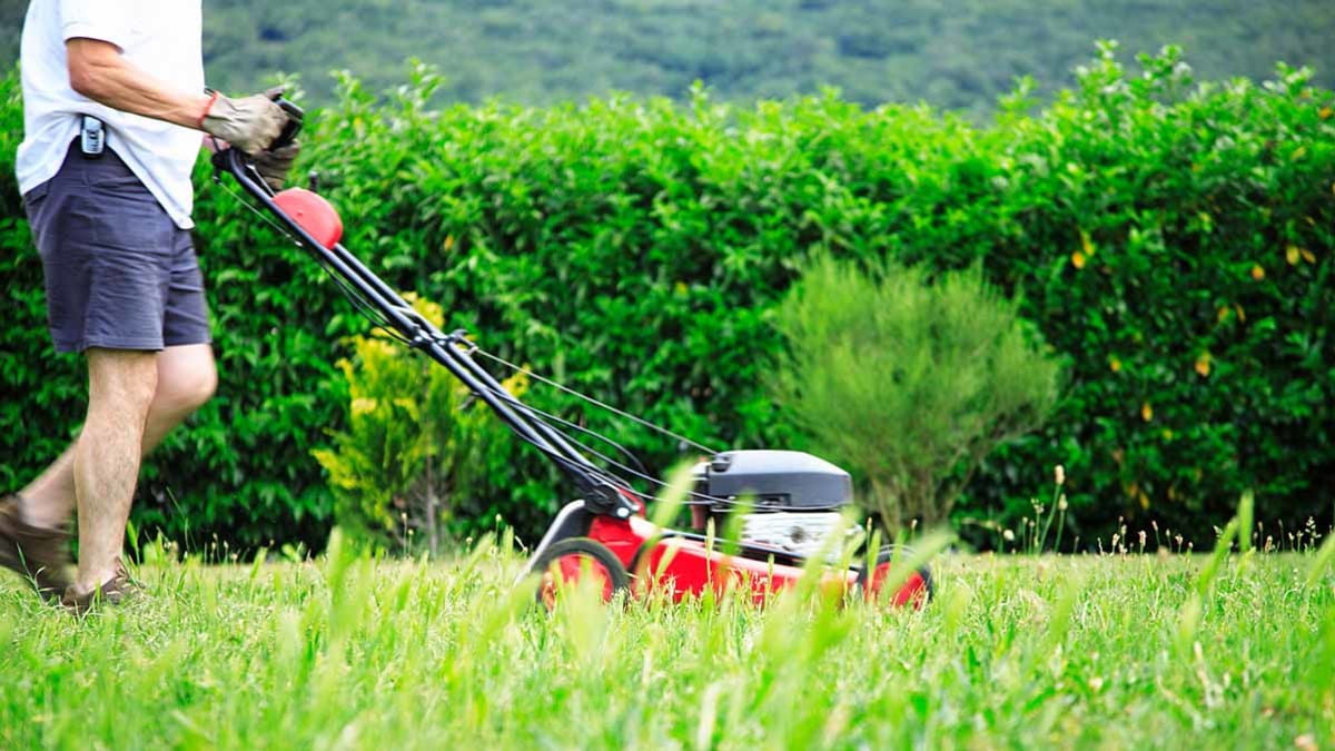 Best Lawn Mowers for Small Yards Consumer Reports